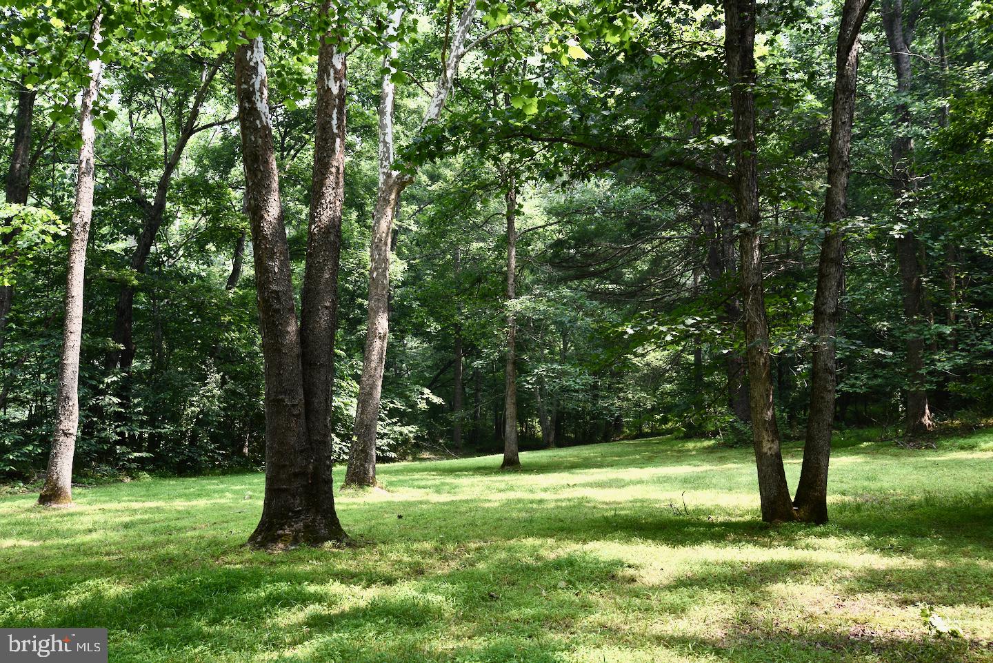 265 Grandview Road Washington, VA 22747 - Photo 26 of 30 River Meadow