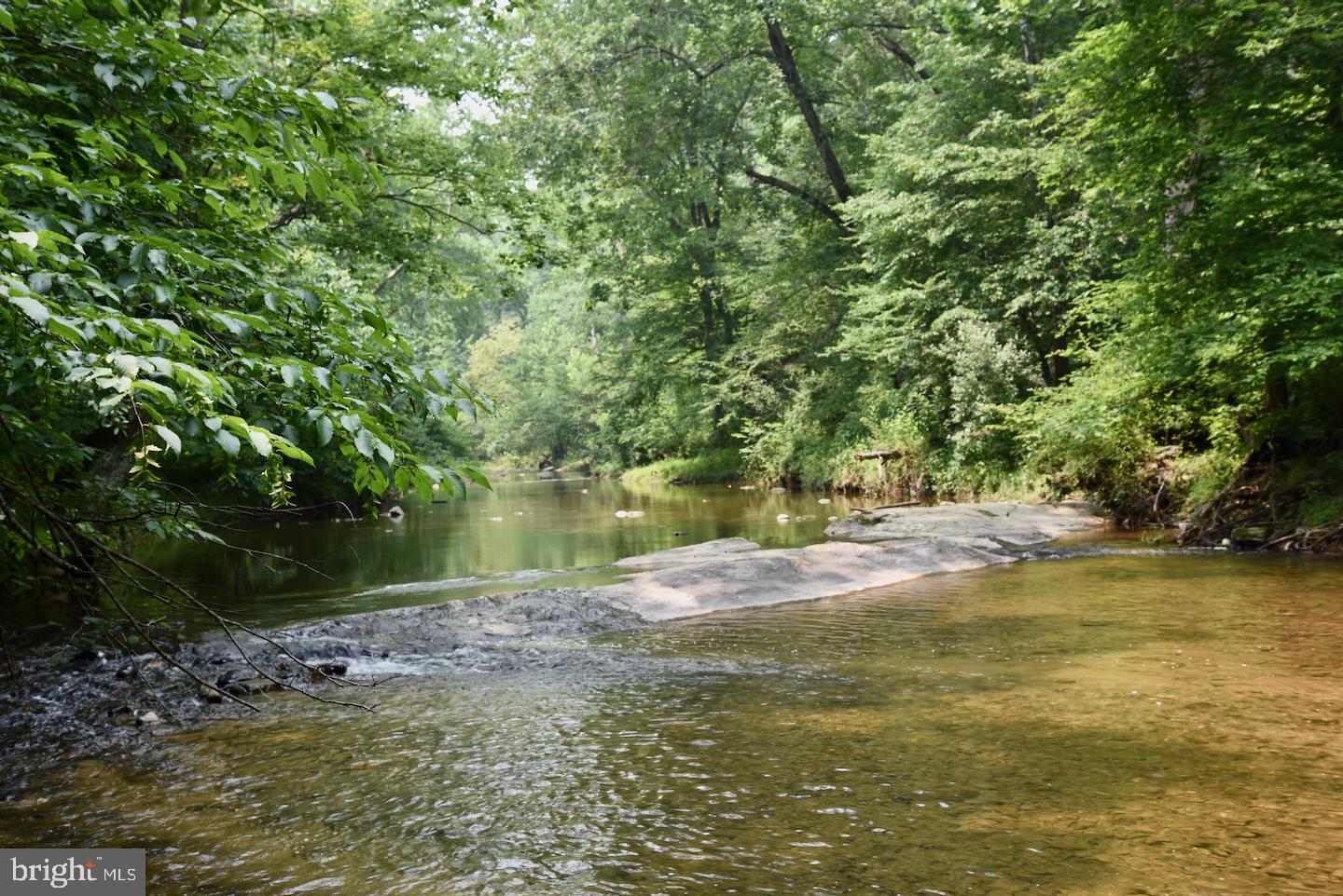 265 Grandview Road Washington, VA 22747 - Photo 27 of 30 Upstream View