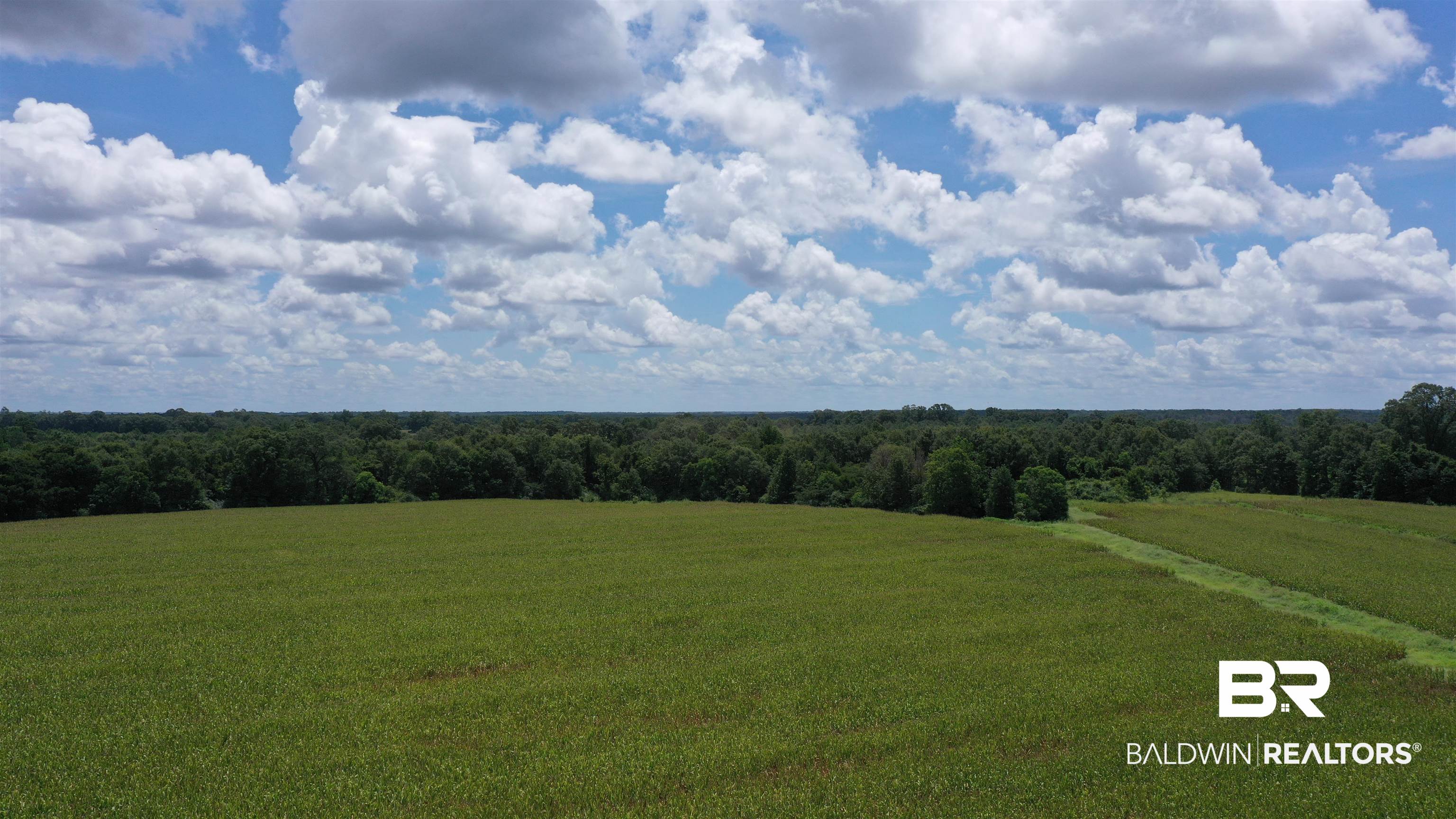 3 Highway 21 Atmore, AL 36502 - Photo 12 of 18 Exterior space with a rural view