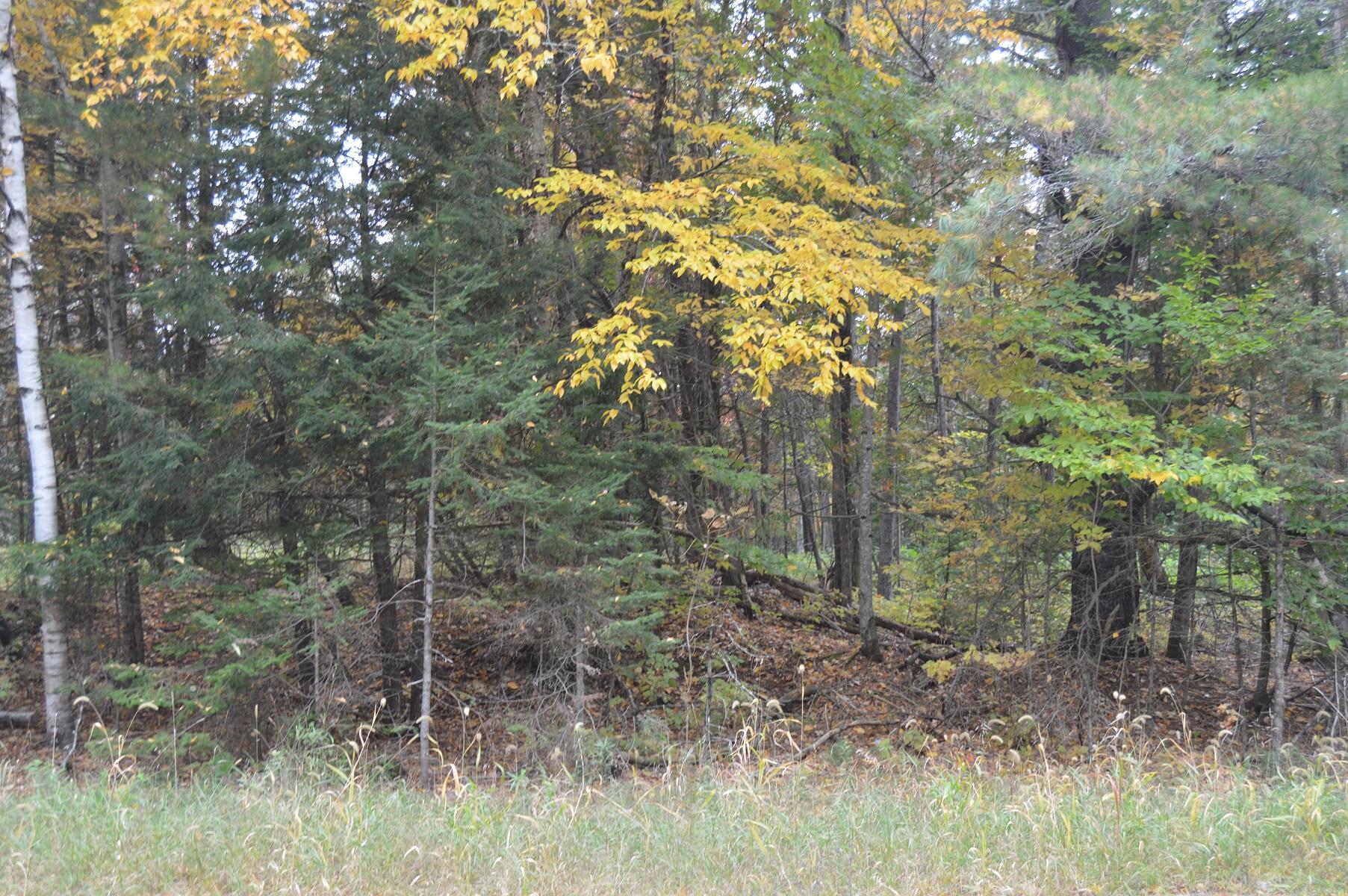 Map11-l07 Garland Road Exeter, ME 04435 - Photo 11 of 16 DSC_0051