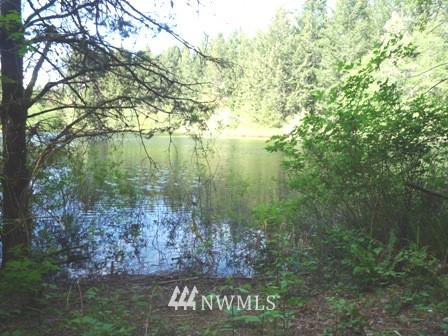 3600 Southwest Huckleberry Road Port Orchard, WA 98367 - Photo 2 of 15 Gallery Image 2
