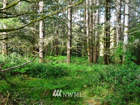 3600 Southwest Huckleberry Road Port Orchard, WA 98367 - Photo 11 of 15 Gallery Image 11