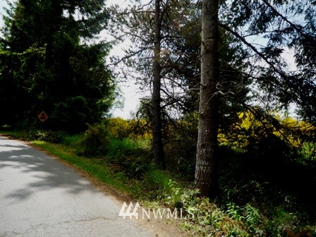 3600 Southwest Huckleberry Road Port Orchard, WA 98367 - Photo 14 of 15 Gallery Image 14