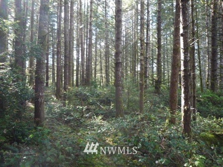 3600 Southwest Huckleberry Road Port Orchard, WA 98367 - Photo 3 of 15 Gallery Image 3