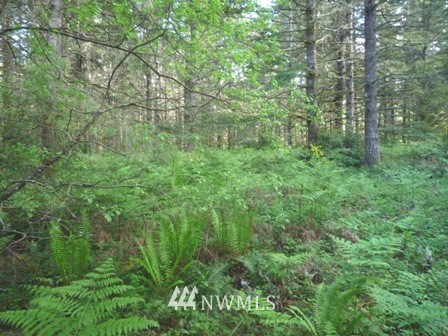 3600 Southwest Huckleberry Road Port Orchard, WA 98367 - Photo 5 of 15 Gallery Image 5