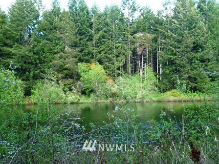 3600 Southwest Huckleberry Road Port Orchard, WA 98367 - Photo 7 of 15 Gallery Image 7