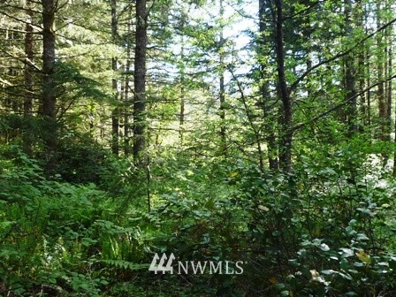 3600 Southwest Huckleberry Road Port Orchard, WA 98367 - Photo 10 of 15 Gallery Image 10