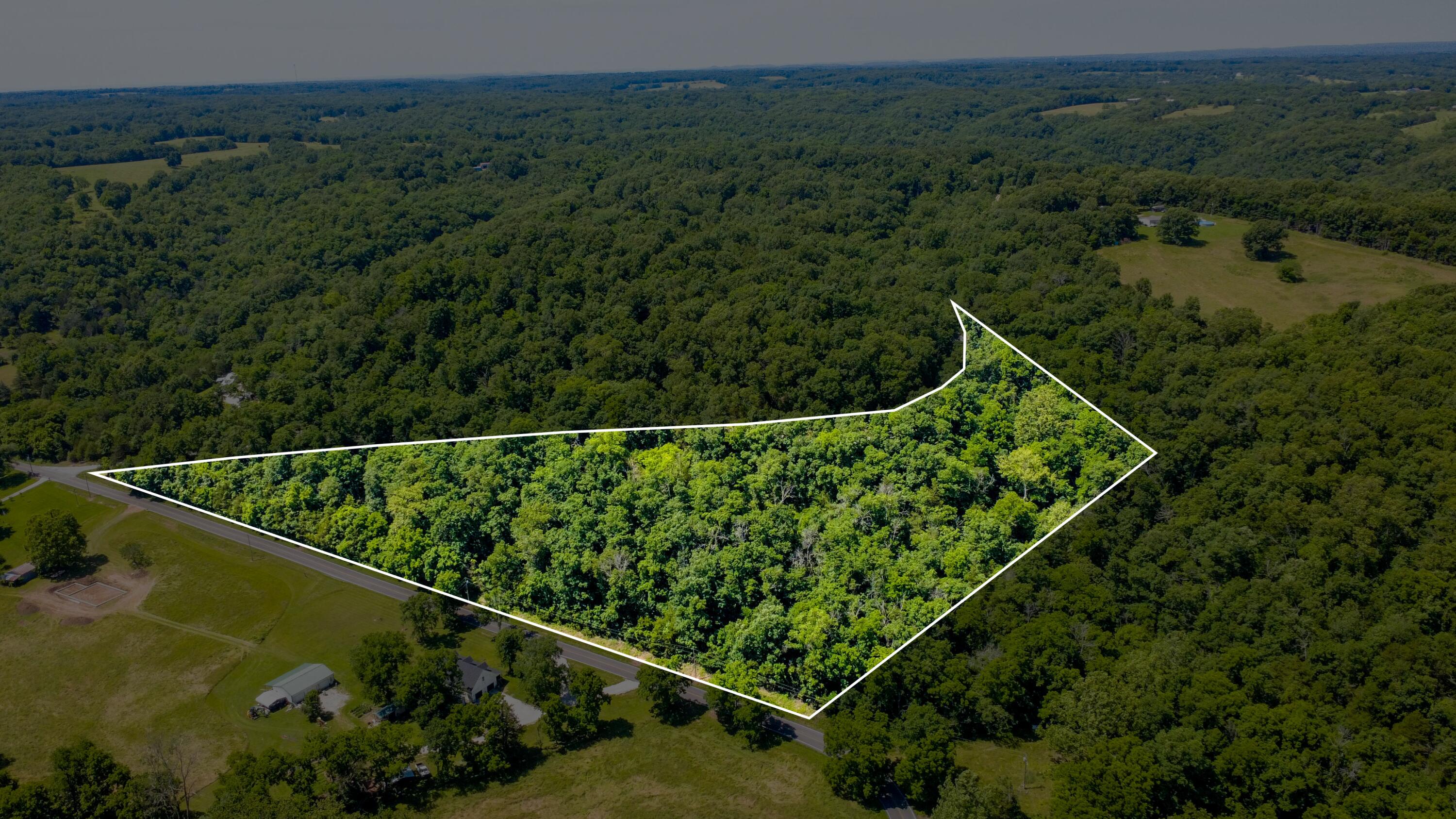 Tbd Railey Creek Road Reeds Spring, MO 65737 - Photo 3 of 23 galenaland3