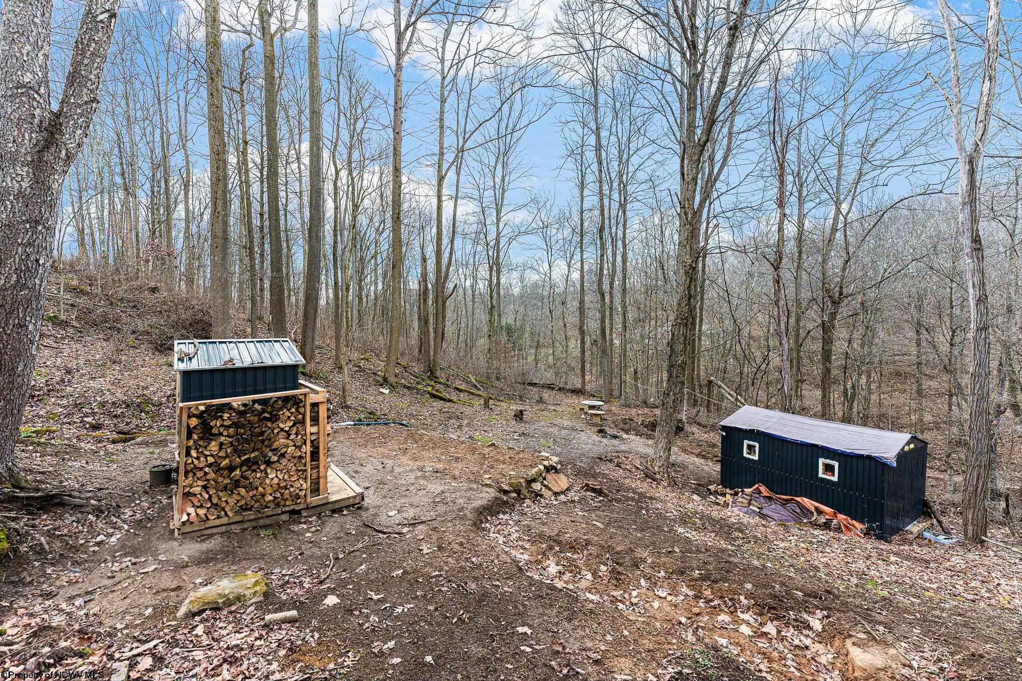 Tbd Coal Lick Road Albright, WV 26519 - Photo 12 of 21 Gallery Image 12