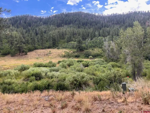 a view of a dry yard