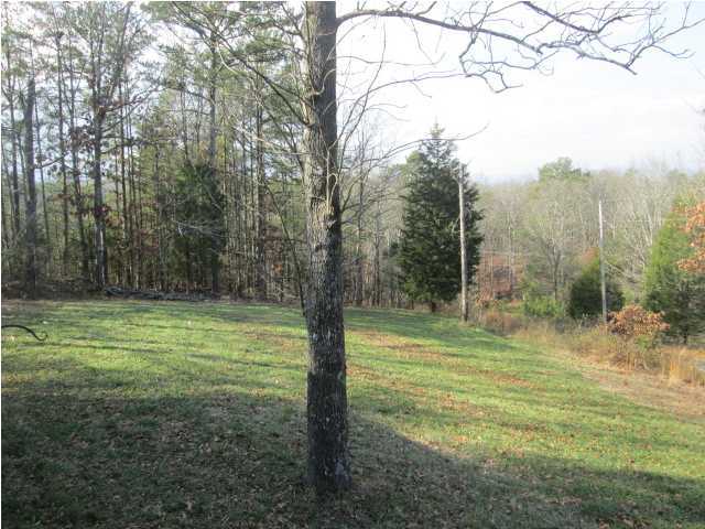 297 East Long Hollow Road Rock Spring, GA 30739 - Photo 3 of 10 Additional Photo