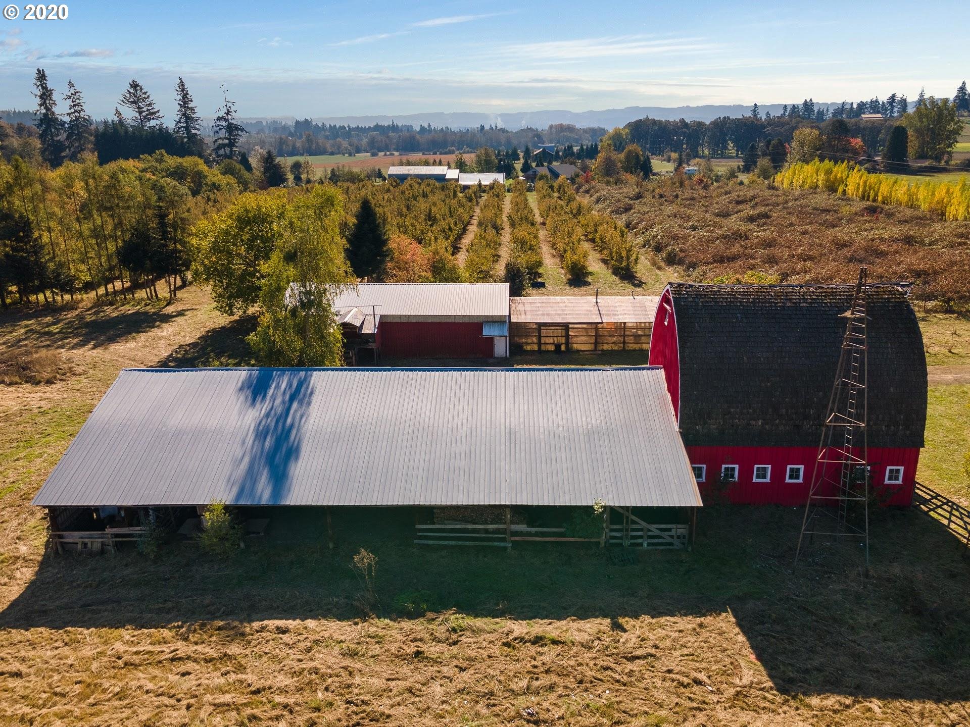 7110 Southwest Straughan Road Hillsboro, OR 97123 - Photo 18 of 28 a view of a terrace with chairs
