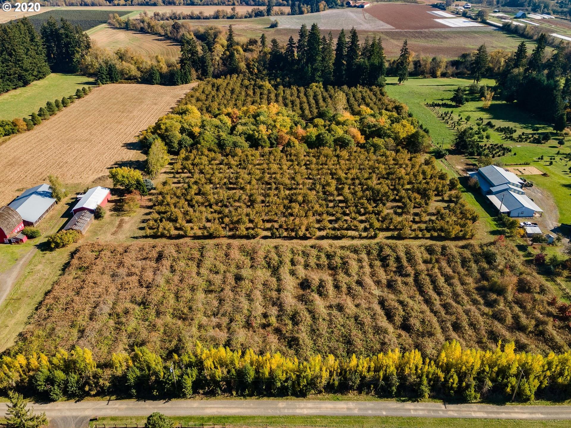 7110 Southwest Straughan Road Hillsboro, OR 97123 - Photo 24 of 28 a view of a yard