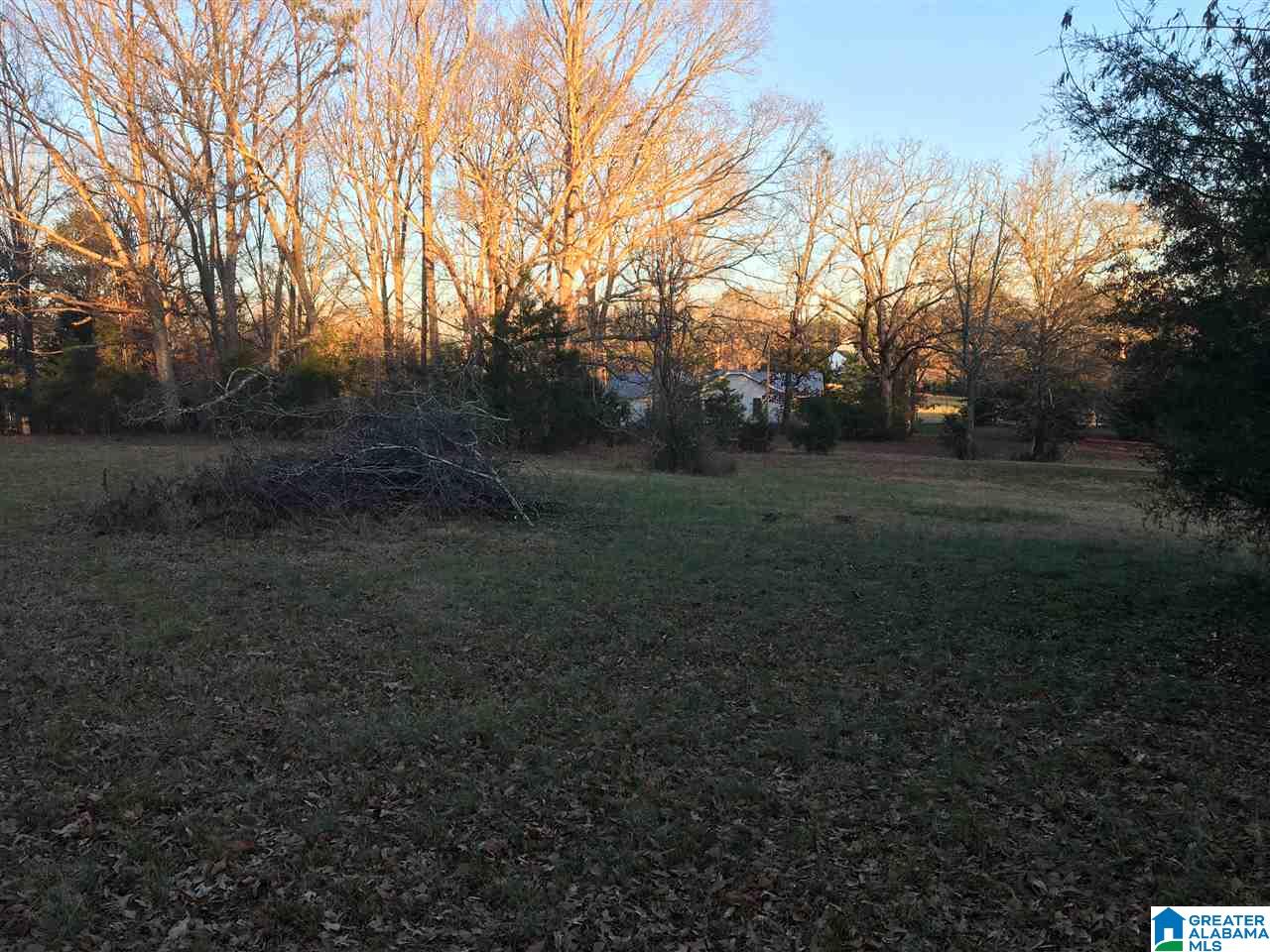 169 Saddle Club Road Jacksonville, AL 36265 - Photo 6 of 12