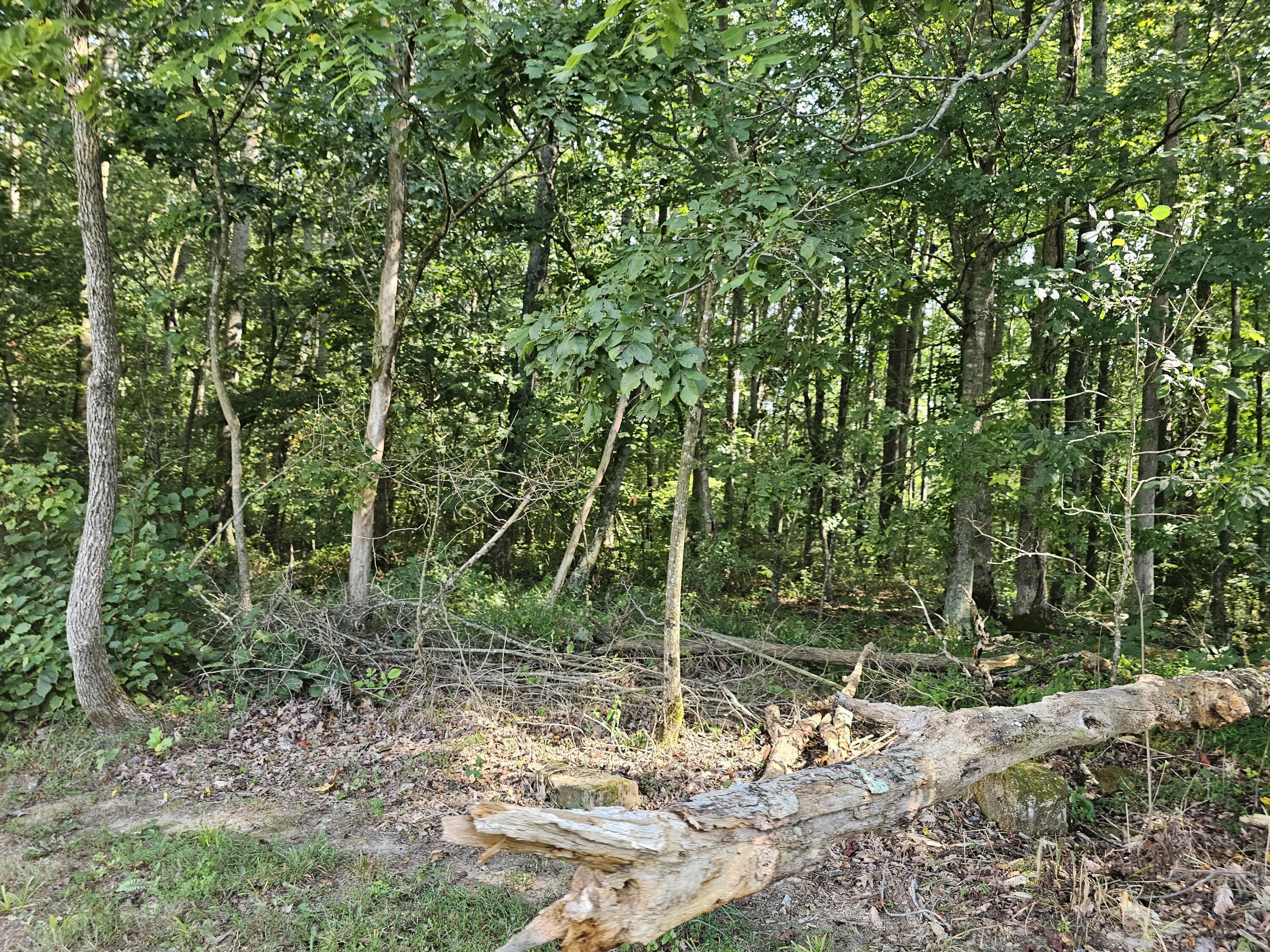 465 L L McKinney Road Brodhead, KY 40409 - Photo 29 of 31 20230825_162143
