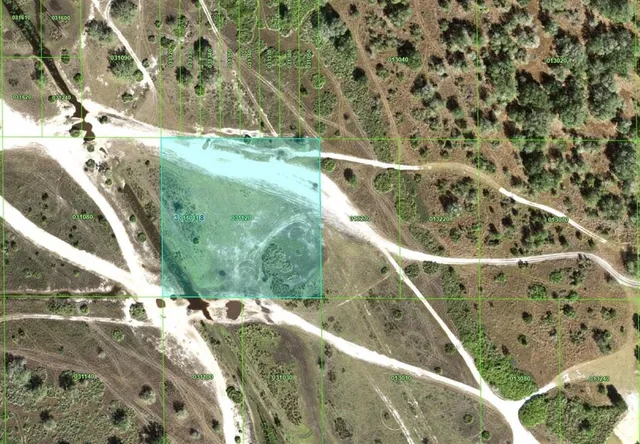 a close up of a plant in a garden