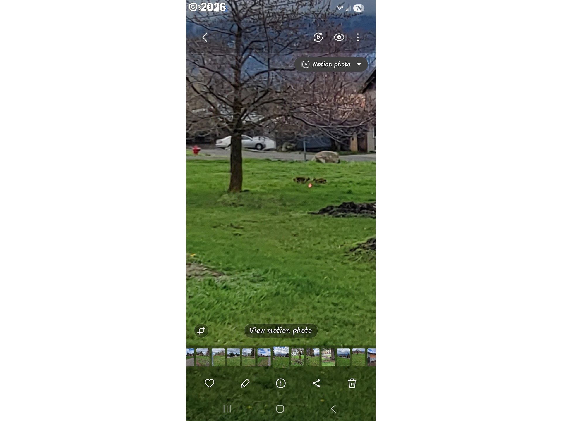 Mian Street Joseph, OR 97846 - Photo 4 of 6