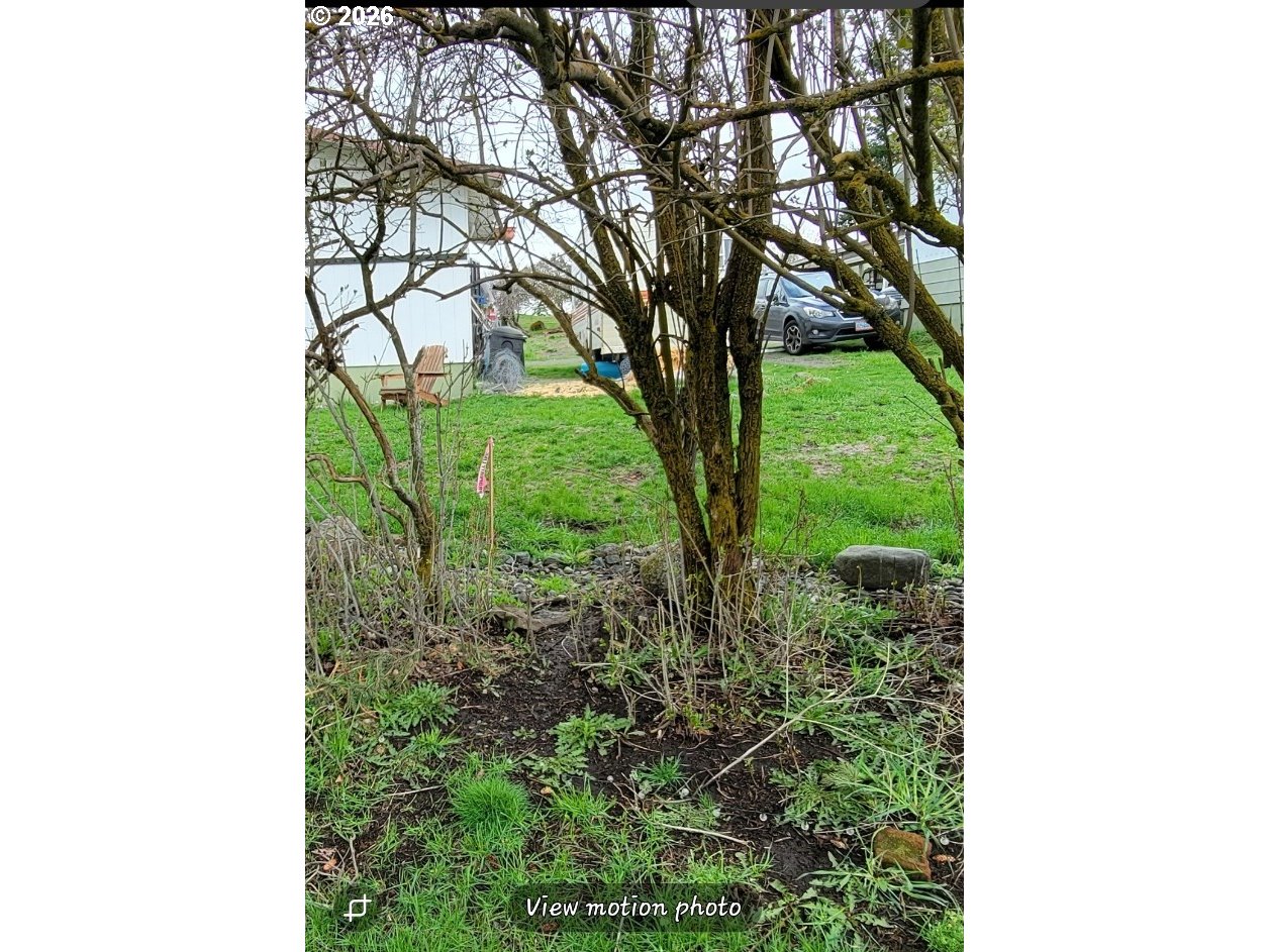 Mian Street Joseph, OR 97846 - Photo 6 of 6