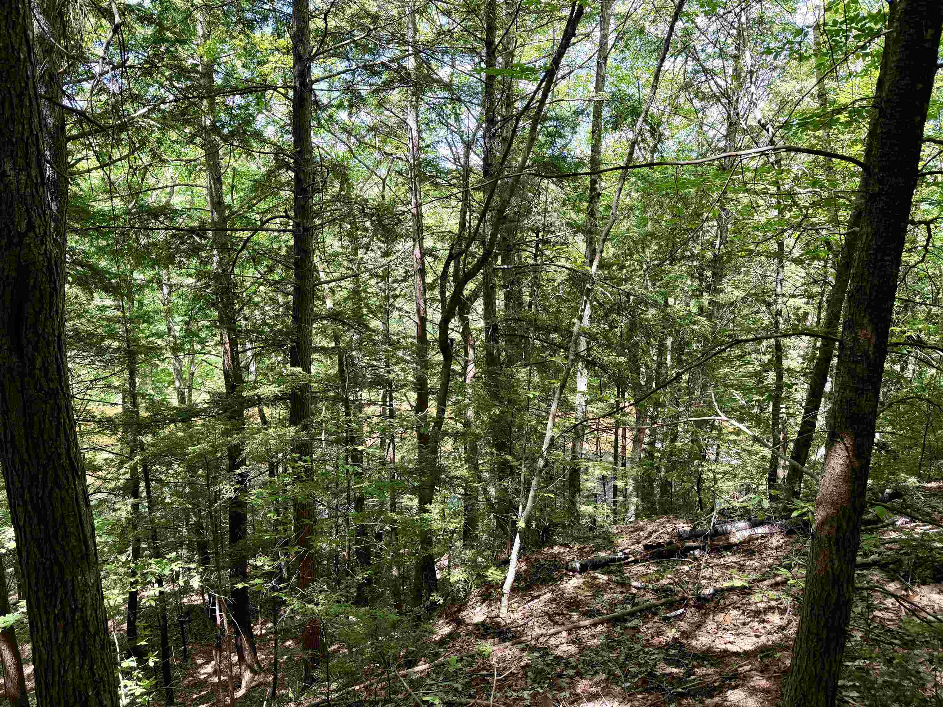 175 Nh Route Campton, NH 03223 - Photo 14 of 15
