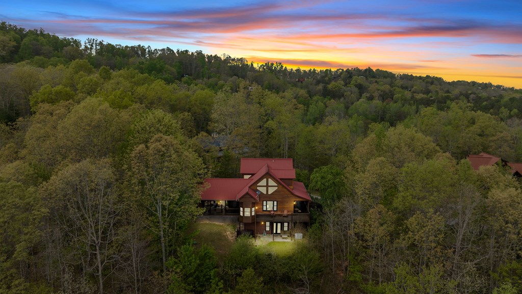 52 Whispering Lane Blue Ridge, GA 30513 - Photo 4 of 35 a view of a big yard with potted plants and mountain view