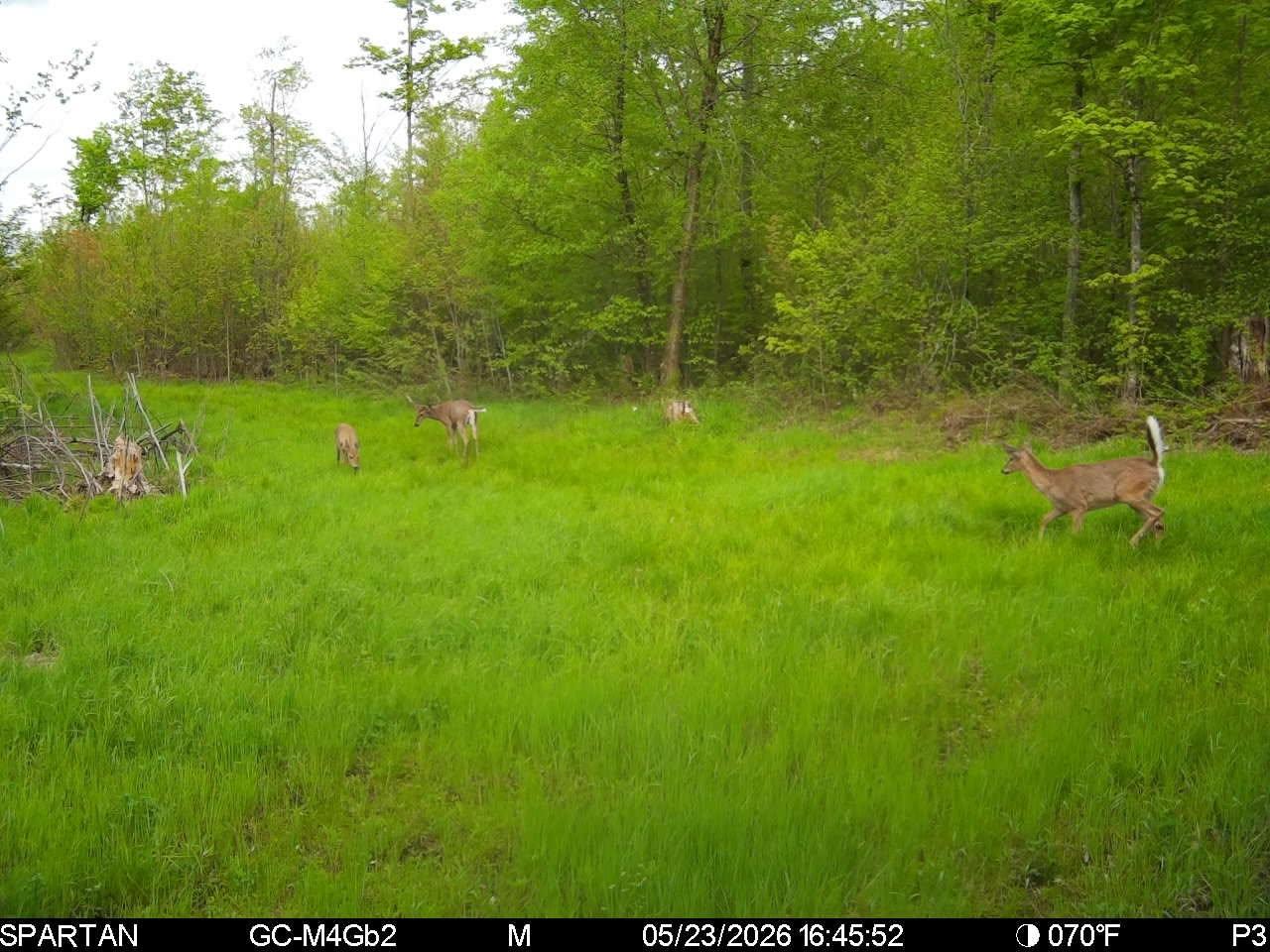 On On Cth H, Unit 80ACRES Radisson, WI 54867 - Photo 23 of 34 Gallery Image 23