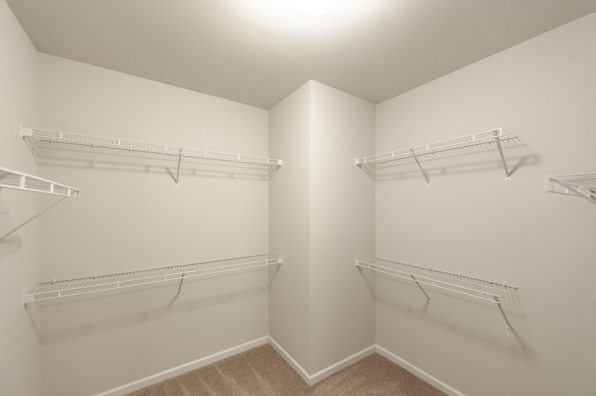 1095 Brixworth Drive Spring Hill, TN 37174 - Photo 24 of 49 a view of an empty walk in closet