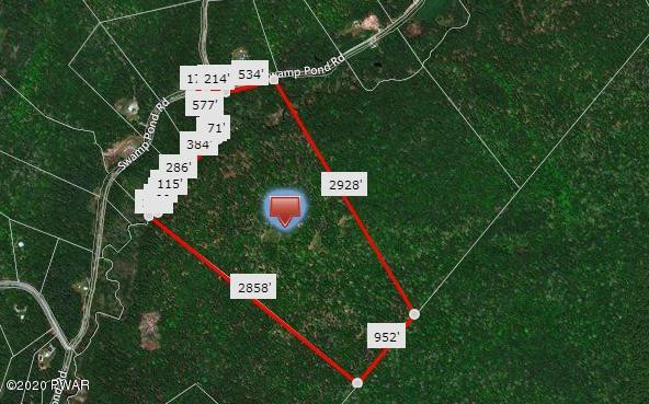 Lot #22 Swamp Pond Road Narrowsburg, NY 12764 - Photo 36 of 36