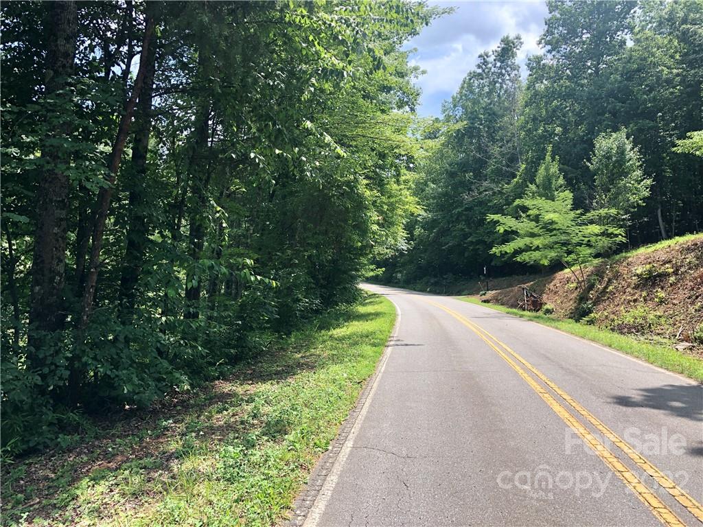 0 Golf Course Road Old Fort, NC 28762 - Photo 1 of 20 Gallery Image 1