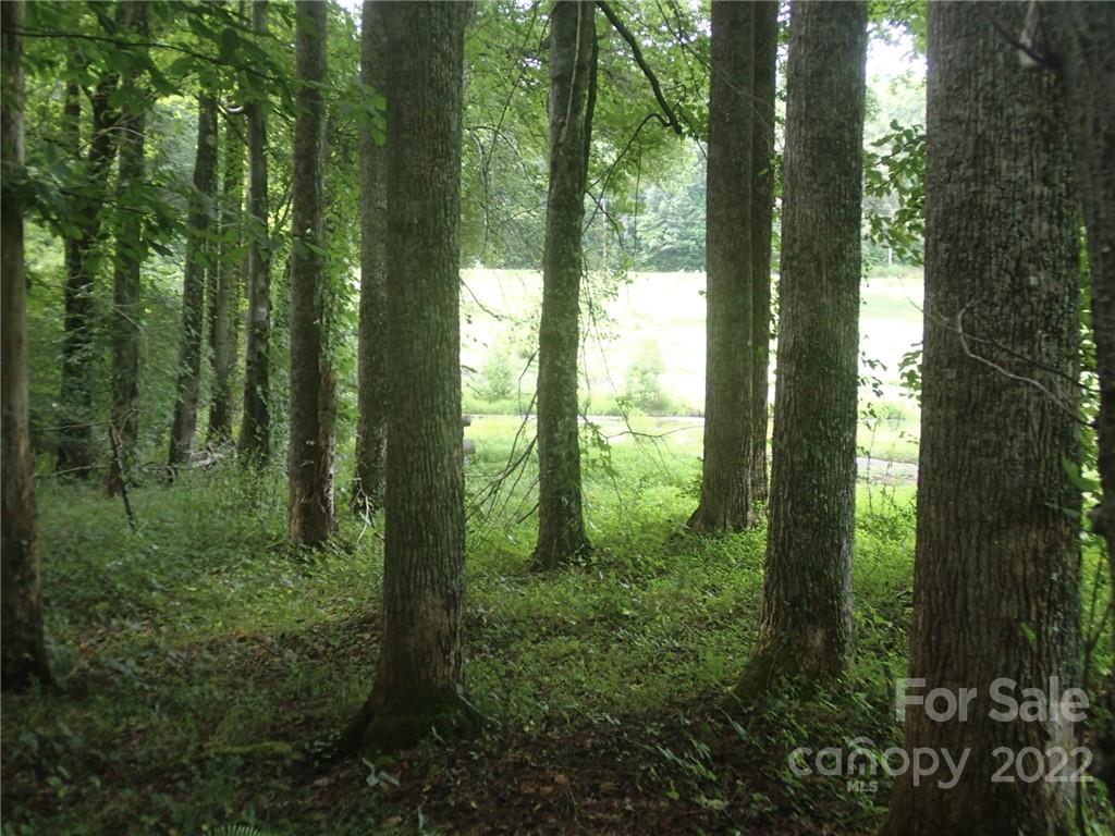 0 Golf Course Road Old Fort, NC 28762 - Photo 11 of 20 Gallery Image 11