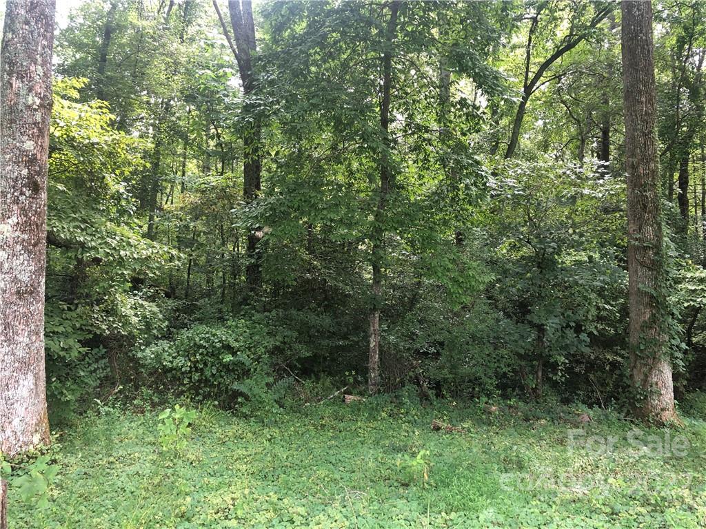 0 Golf Course Road Old Fort, NC 28762 - Photo 13 of 20 Gallery Image 13