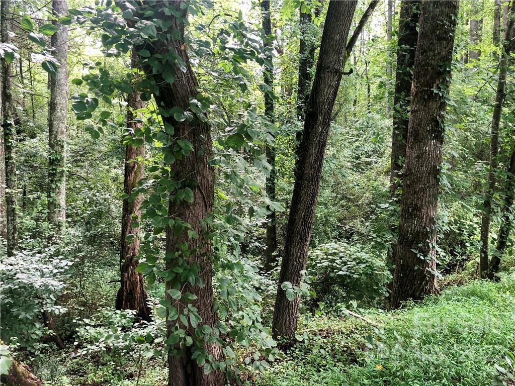 0 Golf Course Road Old Fort, NC 28762 - Photo 15 of 20 Gallery Image 15