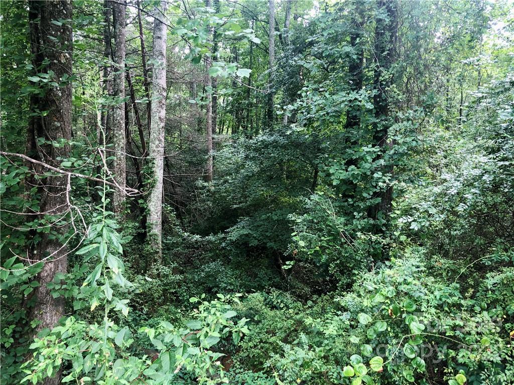 0 Golf Course Road Old Fort, NC 28762 - Photo 16 of 20 Gallery Image 16