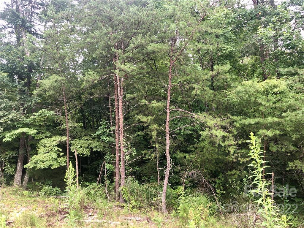 0 Golf Course Road Old Fort, NC 28762 - Photo 18 of 20 Gallery Image 18