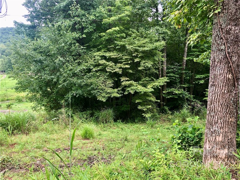 0 Golf Course Road Old Fort, NC 28762 - Photo 20 of 20 Gallery Image 20