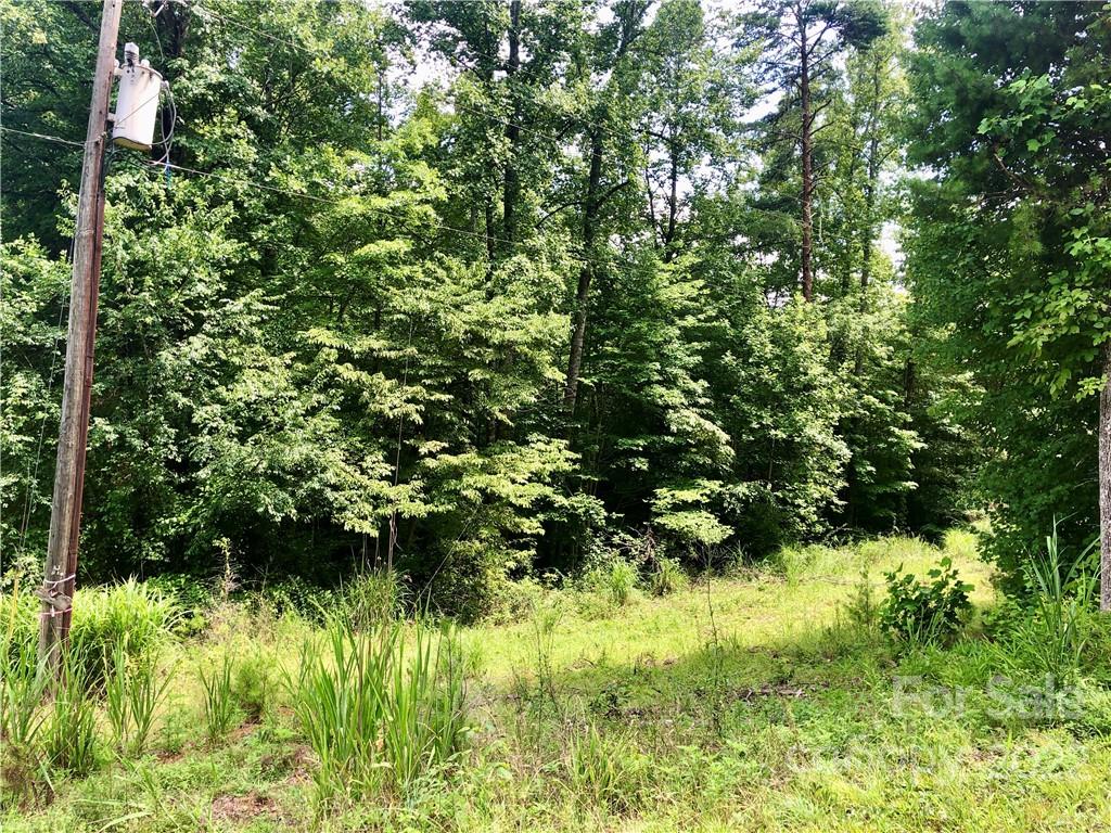 0 Golf Course Road Old Fort, NC 28762 - Photo 4 of 20 Gallery Image 4