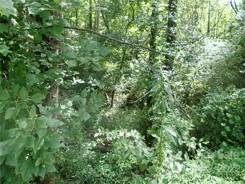 0 Golf Course Road Old Fort, NC 28762 - Photo 6 of 20 Gallery Image 6