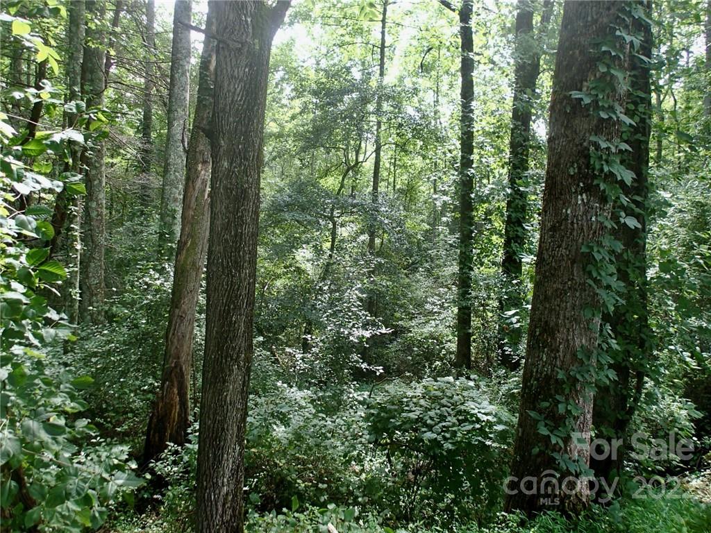 0 Golf Course Road Old Fort, NC 28762 - Photo 7 of 20 Gallery Image 7