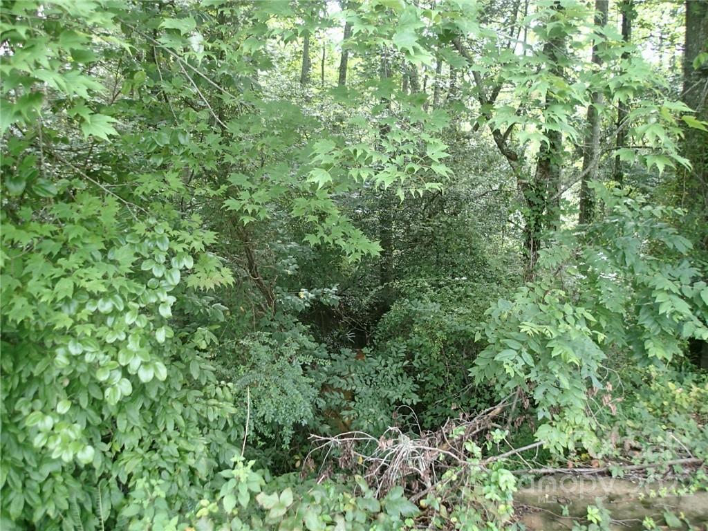 0 Golf Course Road Old Fort, NC 28762 - Photo 8 of 20 Gallery Image 8