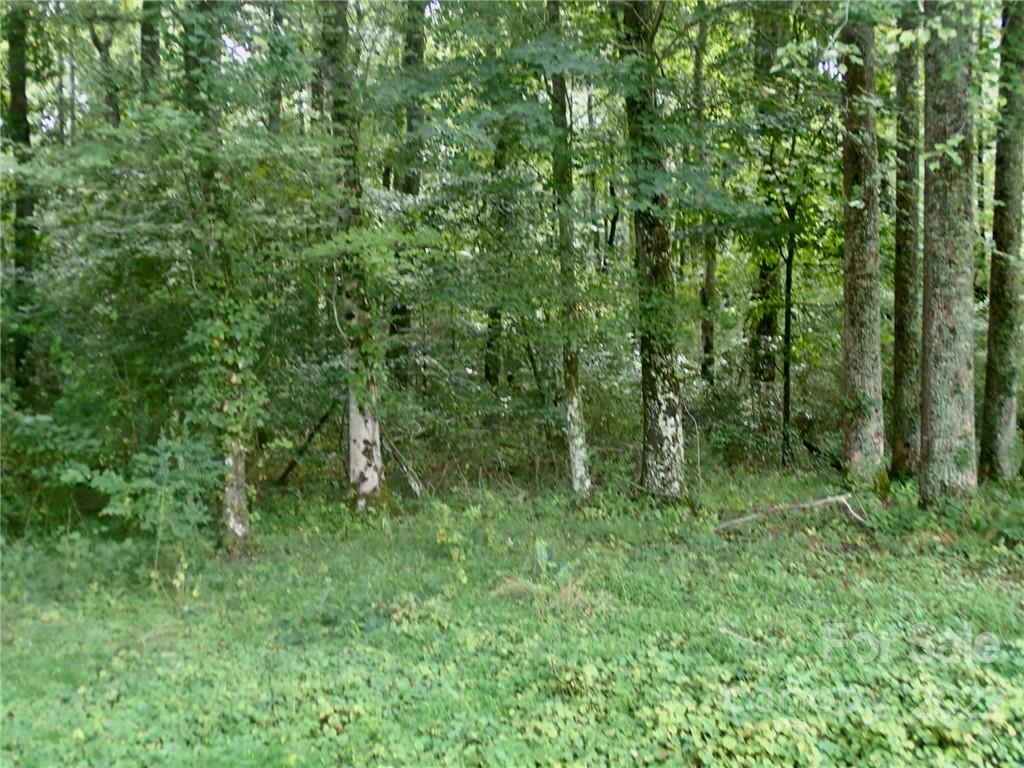 0 Golf Course Road Old Fort, NC 28762 - Photo 9 of 20 Gallery Image 9