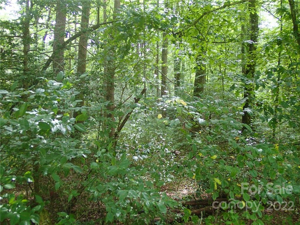 0 Golf Course Road Old Fort, NC 28762 - Photo 10 of 20 Gallery Image 10
