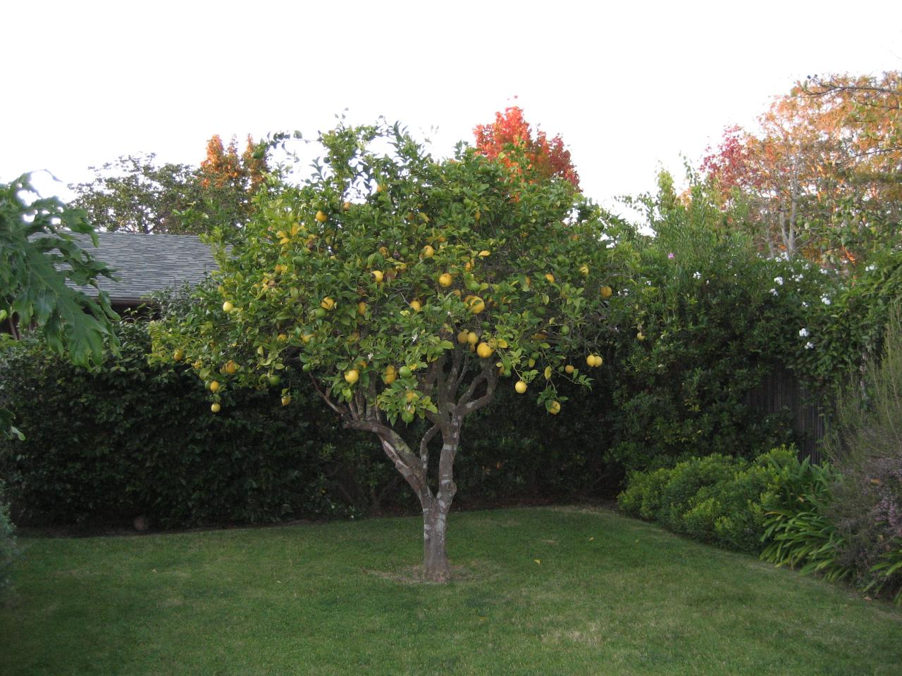 5458 Cameo Road Carpinteria, CA 93013 - Photo 4 of 7 4