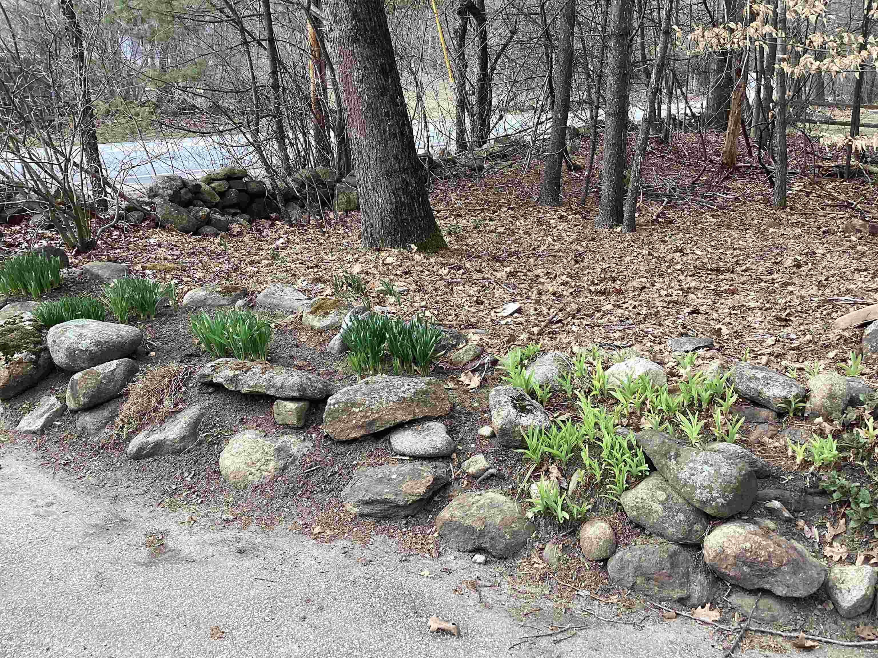 626 Forristall Road Rindge, NH 03461 - Photo 23 of 24