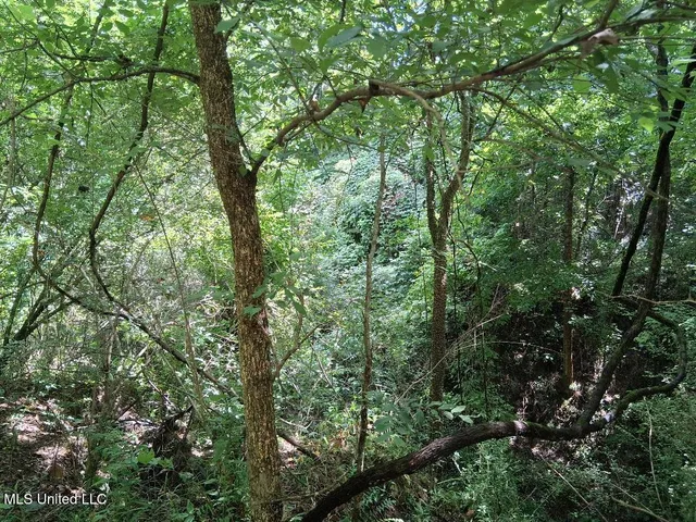 $16,500 | North Azalea Lane, Natchez, MS 39120