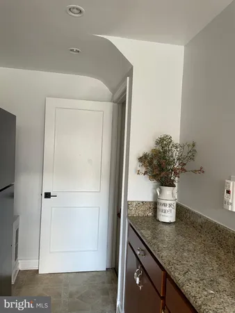 a kitchen with a sink and a potted plant