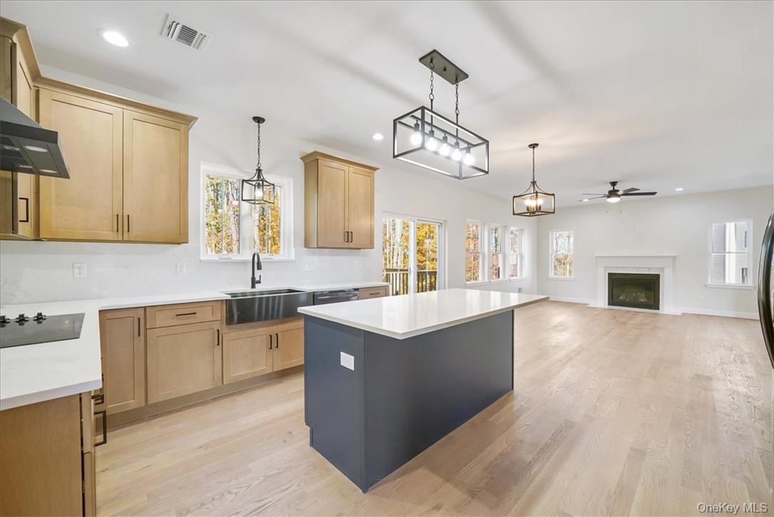 Lot 3-62 Camp Monroe Road Monroe, NY 10950 - Photo 14 of 39 Kitchen featuring light hardwood / wood-style floors, plenty of natural light, sink, and a center island