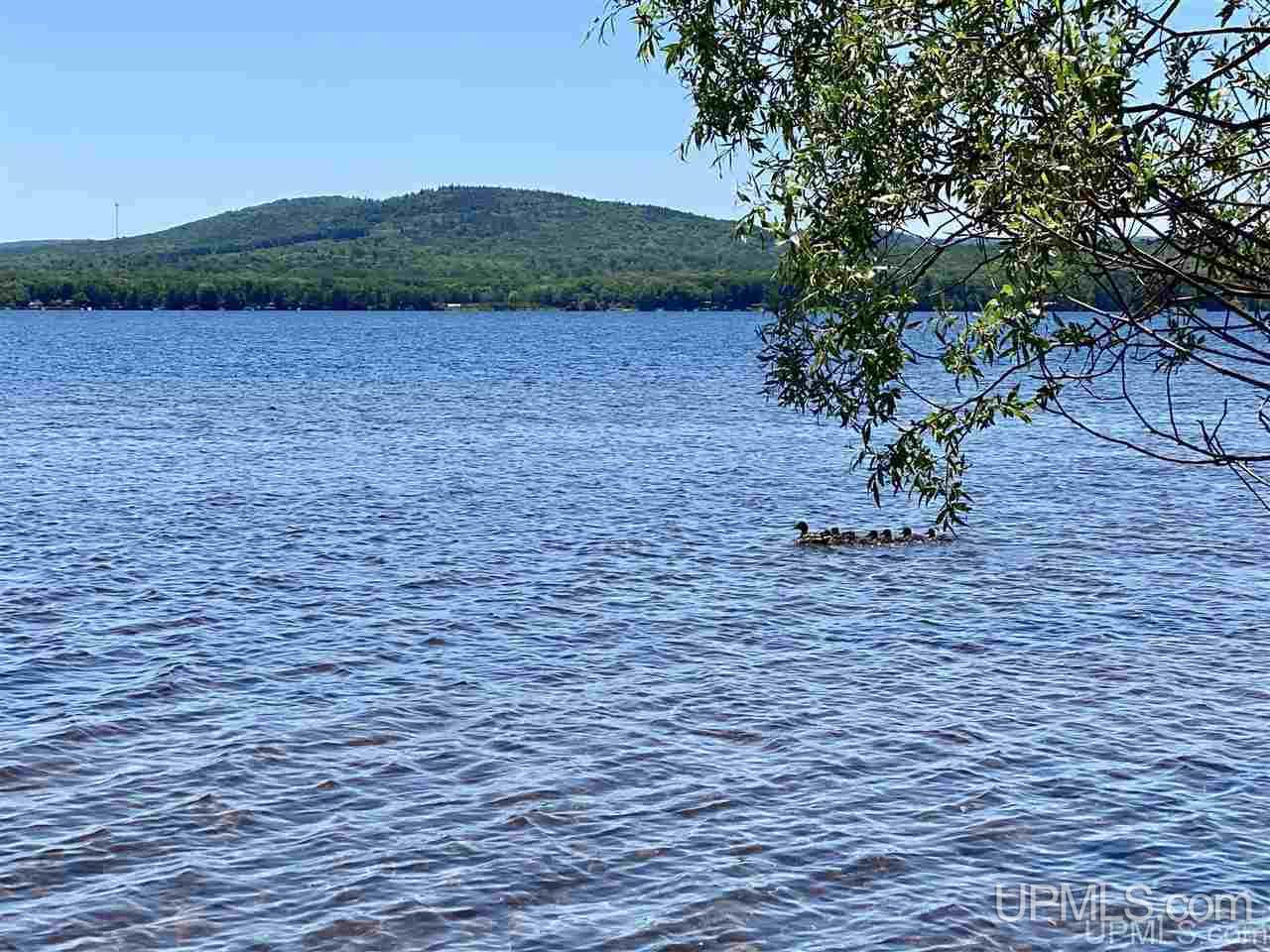 3423 Co Road Big Bay, MI 49808 - Photo 5 of 27