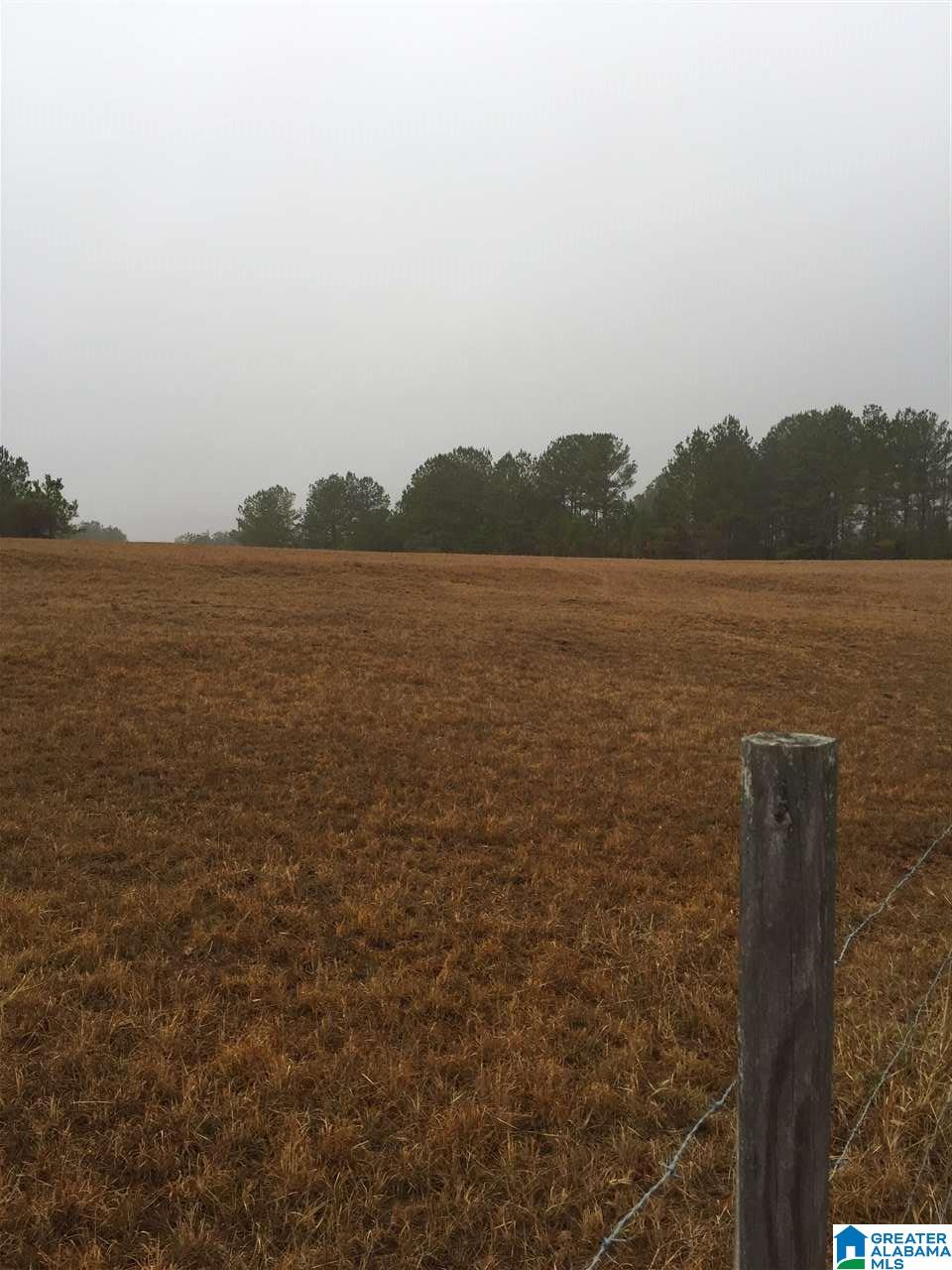 0 Hollingsworth Road Jacksonville, AL 36265 - Photo 7 of 7