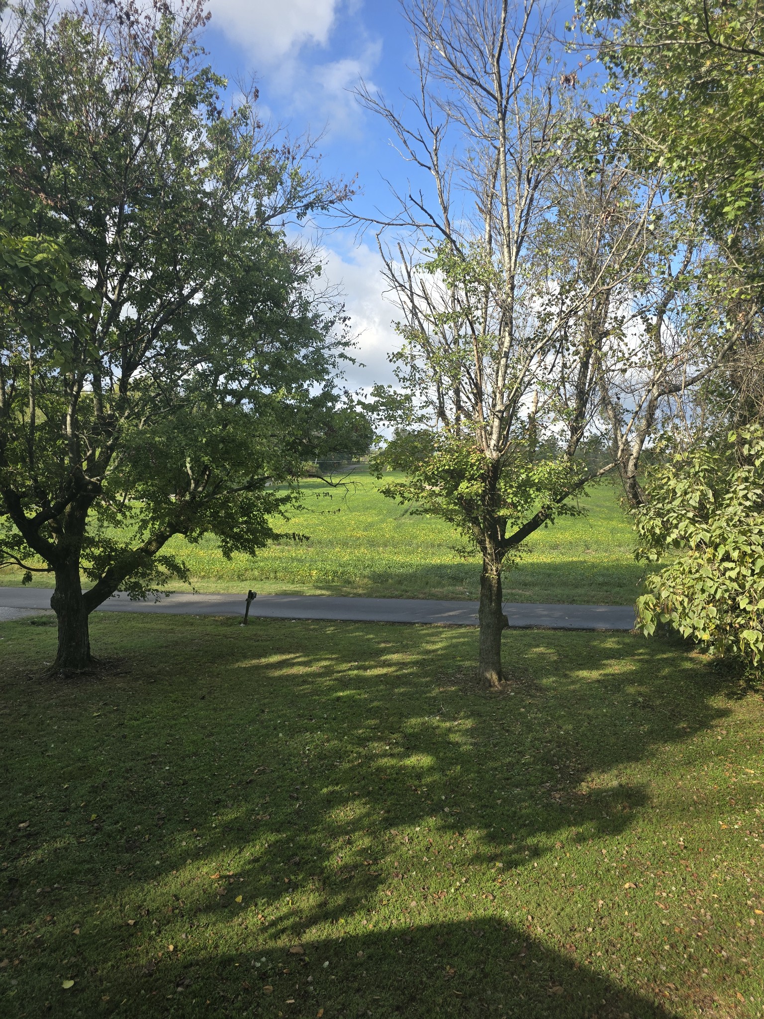 2606 Cave Springs Road Springfield, TN 37172 - Photo 18 of 27 a backyard of a house with lots of green space