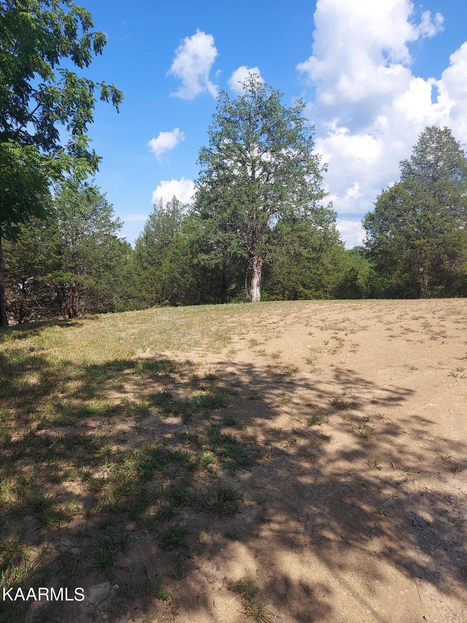 Jim Henry Road Dandridge, TN 37725 - Photo 3 of 3 3