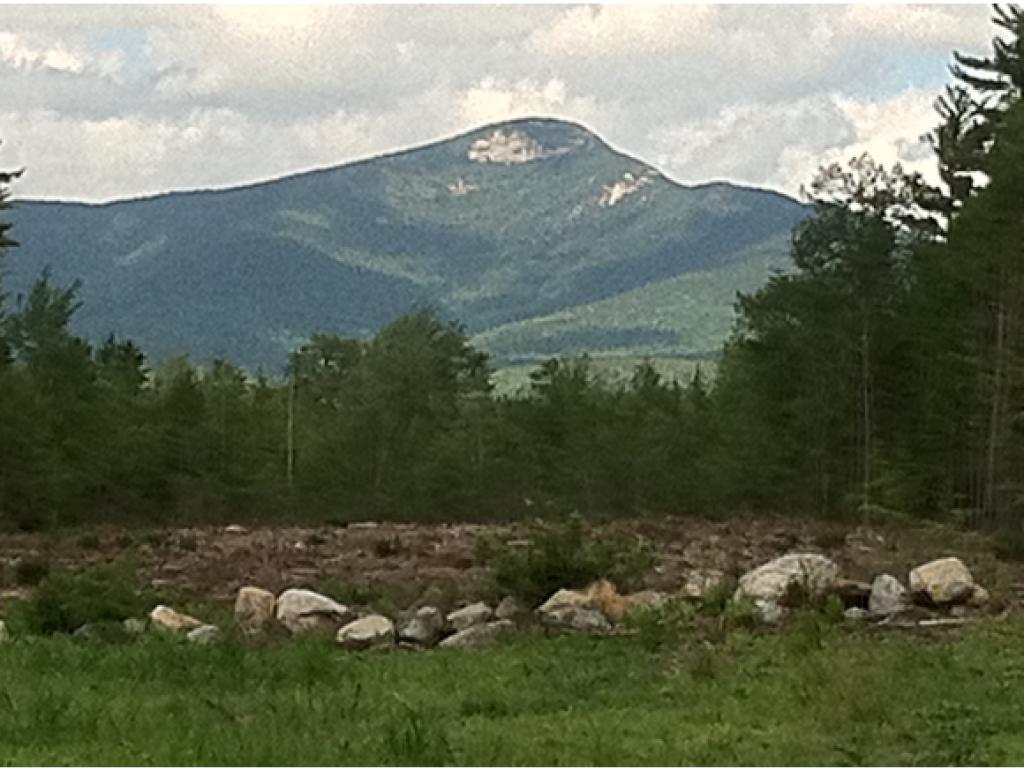 338 Quaker-Whiteface Road Sandwich, NH 03259 - Photo 3 of 21